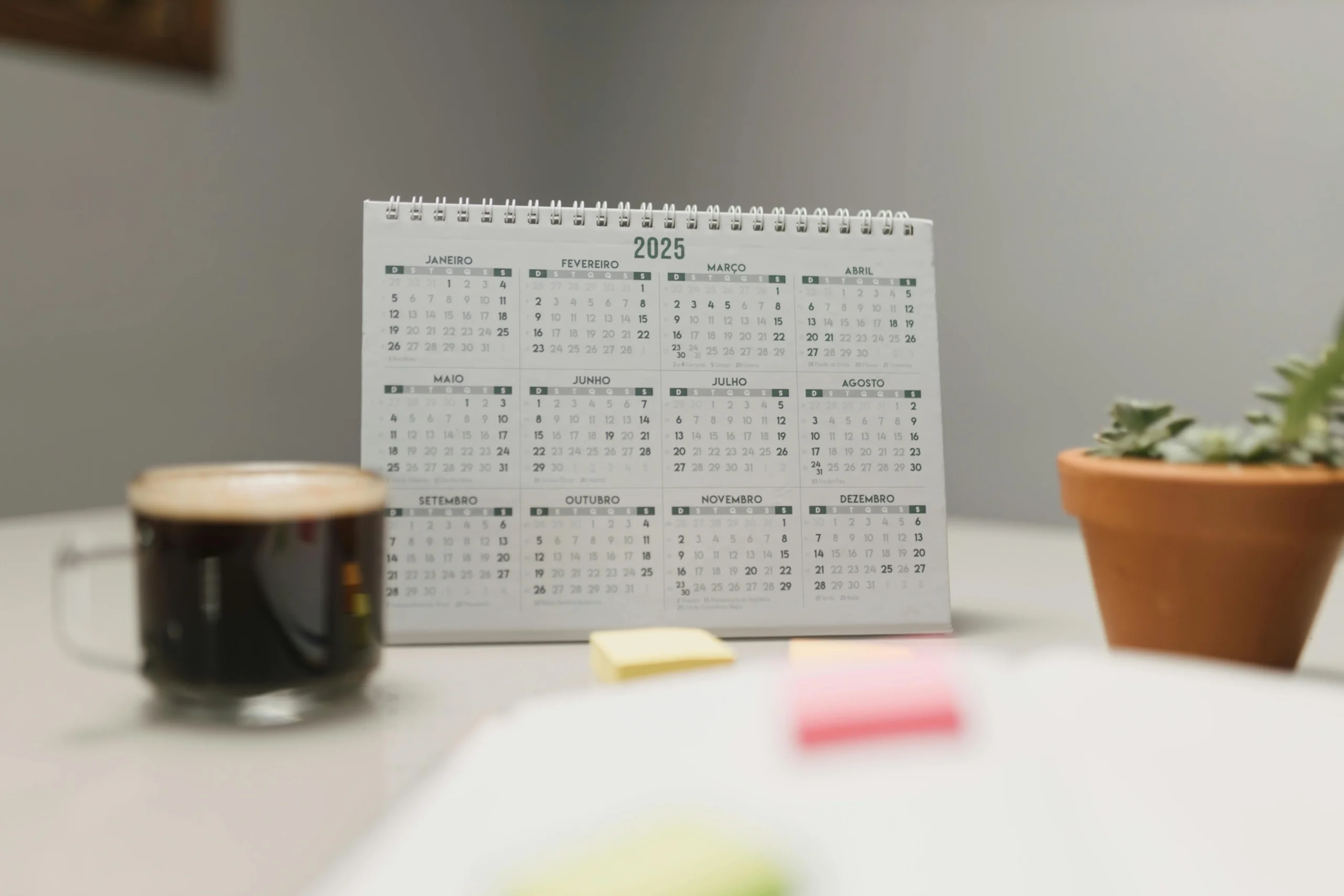 acompañamiento personalizado lectura estratégica para emprendedores digitales 4