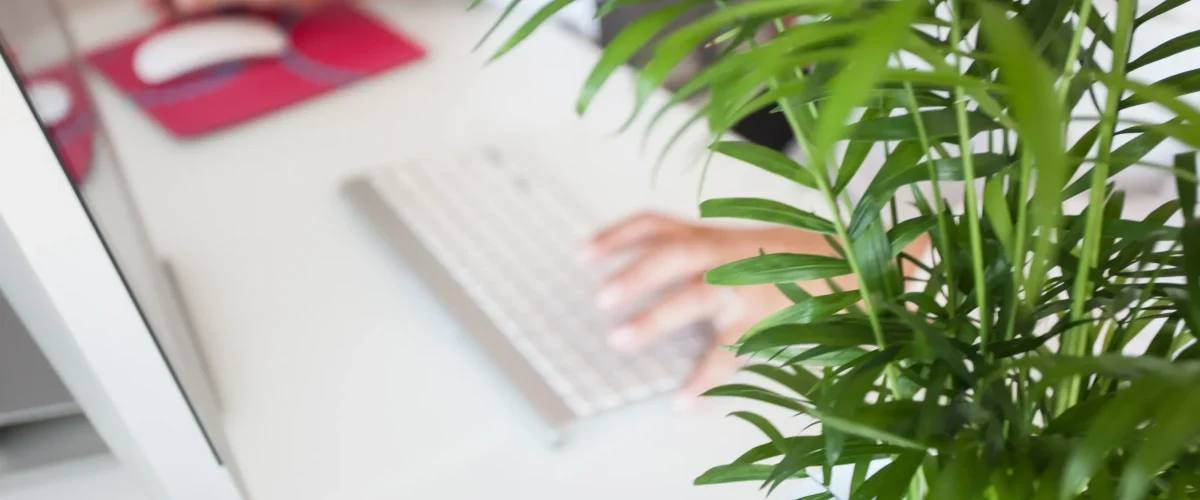 SOSTENIDOS - MINDSET PARA EL EMPRENDEDOR DIGITAL